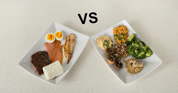 As fontes de proteína vegetal e animal não são iguais