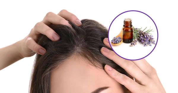 Óleo de lavanda vs. Fórmula farmacêutica para crescimento de cabelo: qual ganha?