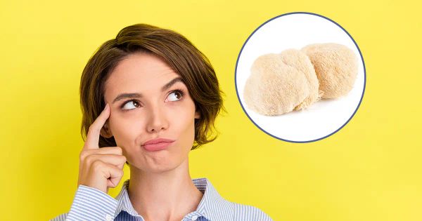 Juba de leão pode melhorar sua memória mostra estudo