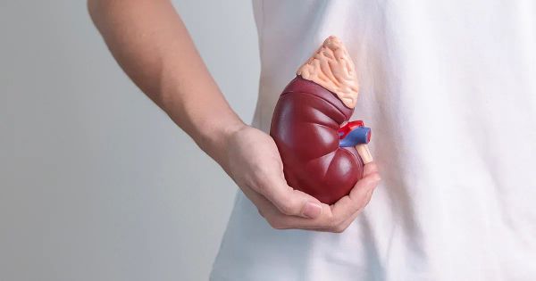Fadiga adrenal: O que é e como tratá-la