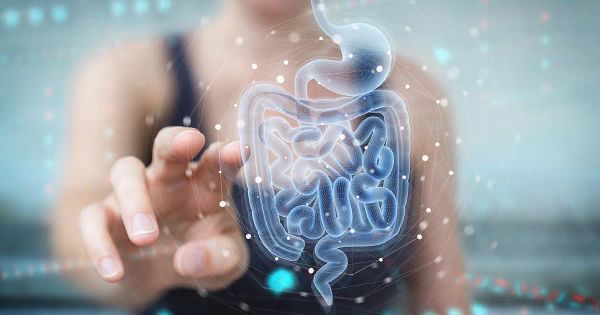 Especialista em medicina integrativa revela conexões entre saúde intestinal, imunidade e bem-estar
