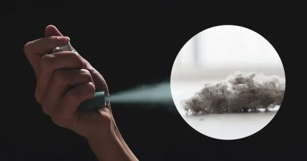 Como os ácaros causam crises de asma