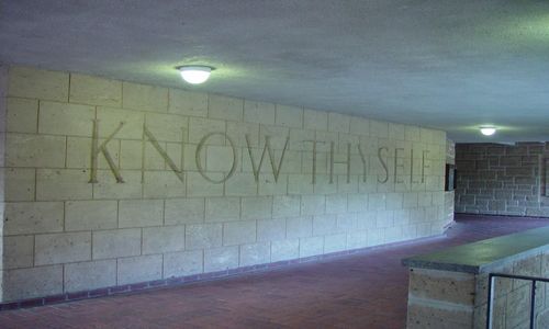 PIXNIO-9309-500x300-2