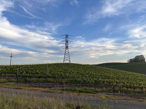 Show love for transmission