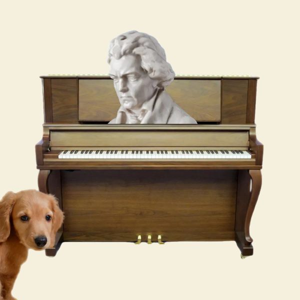 20. Beethoven in the Basement