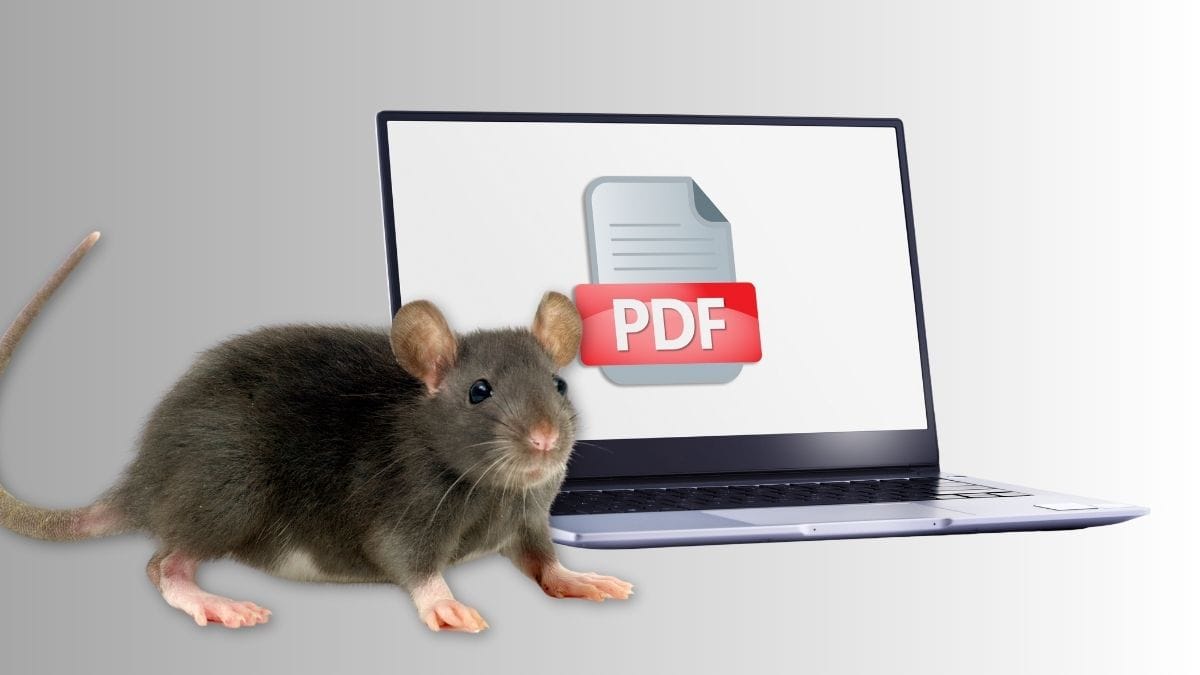 🔟 Malicious PDF delivers remote access trojan