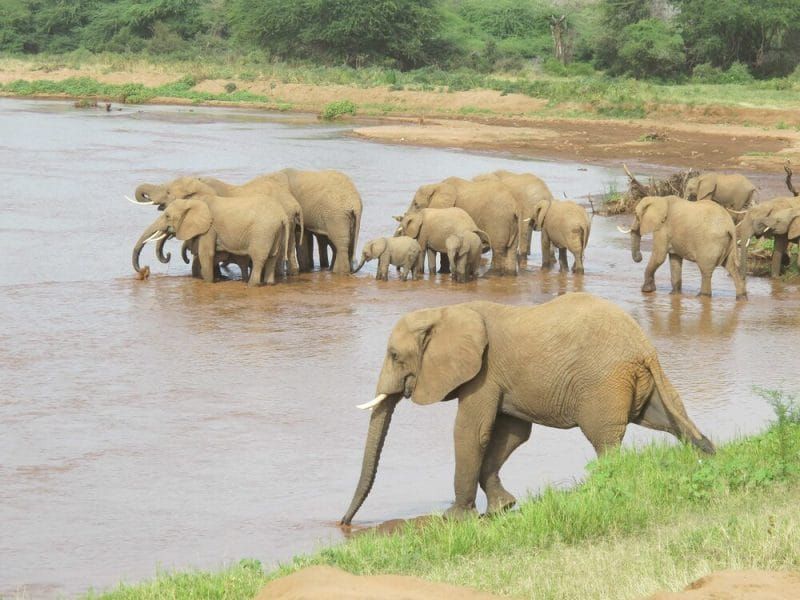 APT TA423 Uses Watering‑Hole on Australian News Sites to Deploy ScanBox Keylogger