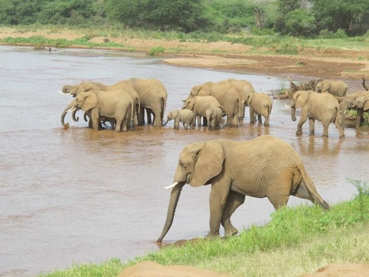 Watering‑Hole Campaign Plants ScanBox Keylogger on Target Sites