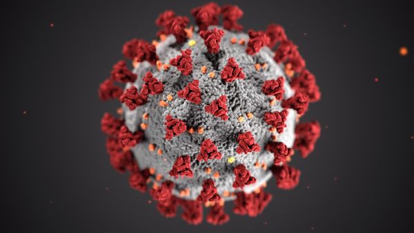 Coronavirus: Ein Albtraum für die Kulturbranche