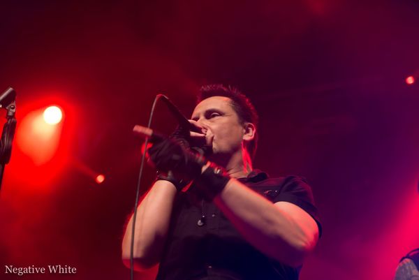Das Video-Interview mit Die Krupps