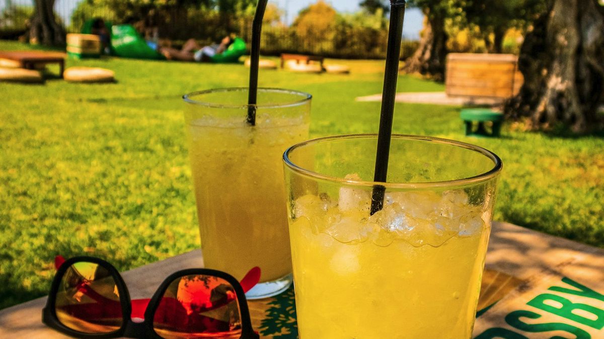 Toronto libera consumo de álcool em 54 parques neste verão