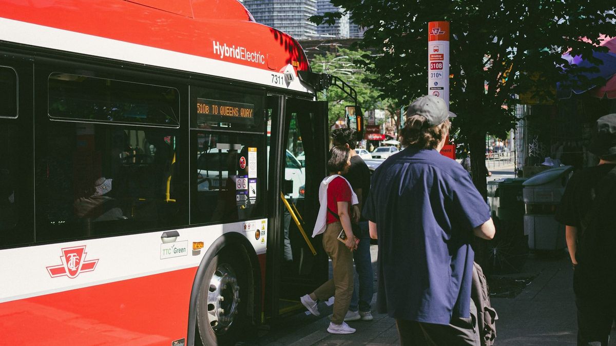 TTC facilita acesso ao zoológico, praias e parques com rotas de temporada