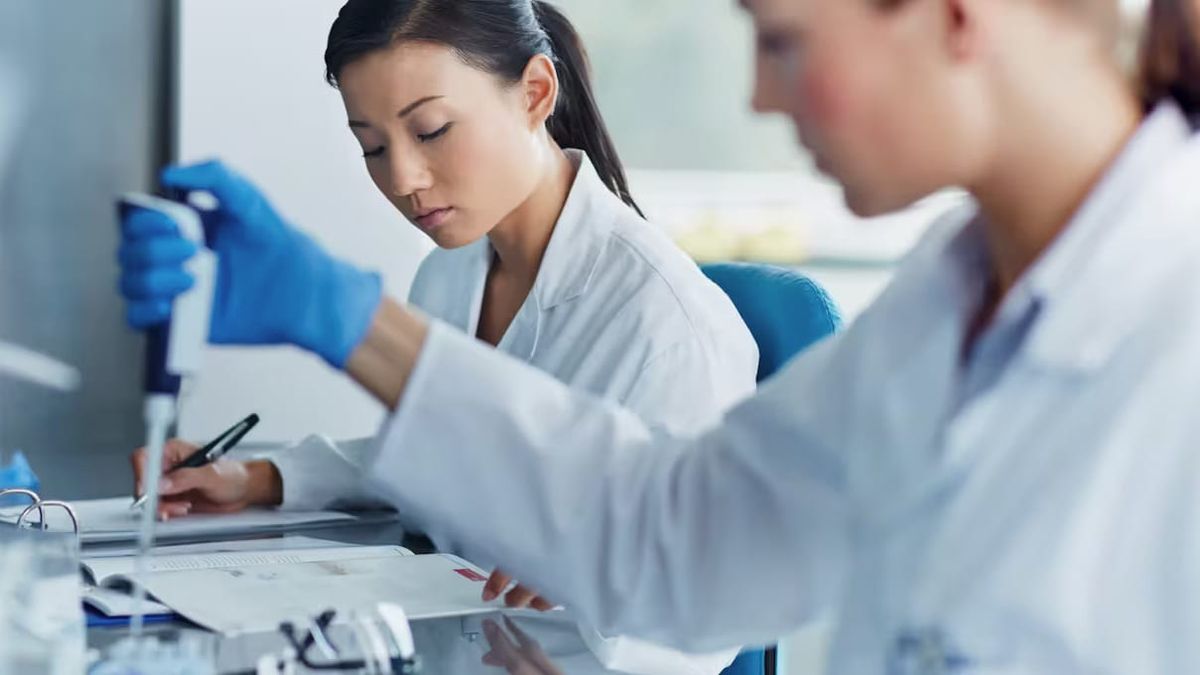 Canadá avalia incluir três novas categorias no Express Entry