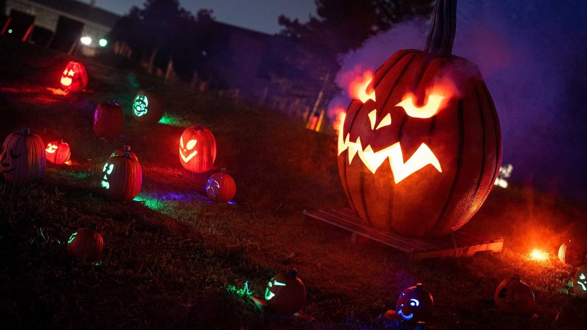 Espetáculo de abóboras iluminadas cria o cenário perfeito para noites mágicas de Halloween