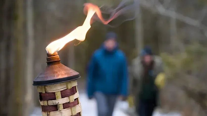 Trilha noturna iluminada por tochas vira atração de inverno em parque provincial