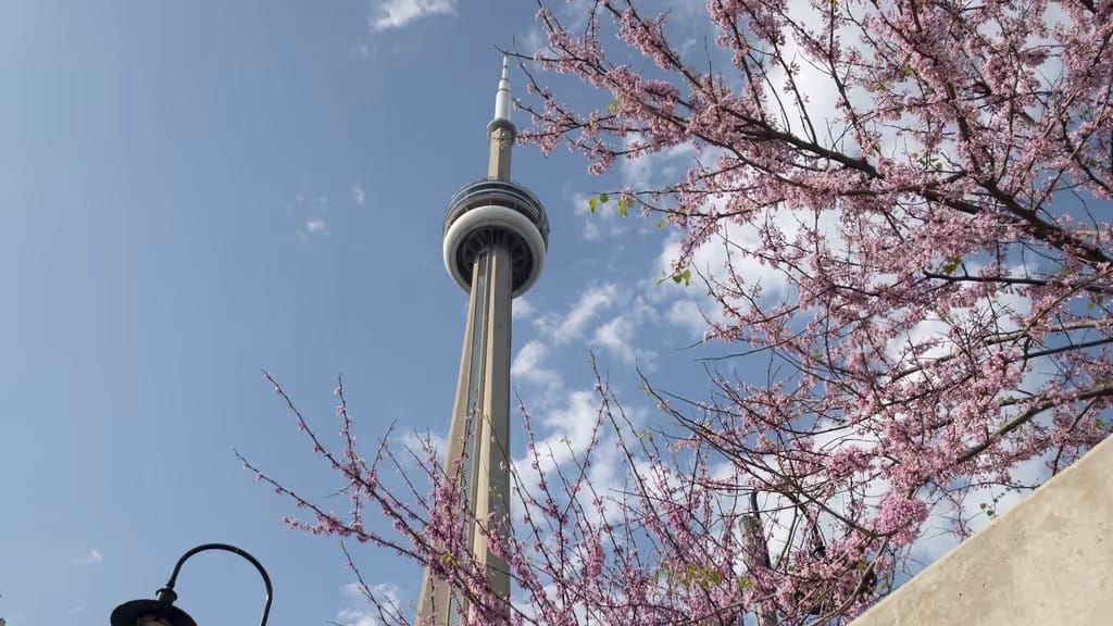 Primavera deve ter temperaturas acima da média em Ontário