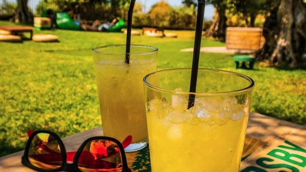 Toronto libera consumo de álcool em 54 parques neste verão