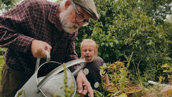 Imigração quer retomar programa de patrocínio de pais e avós com 17 mil convites