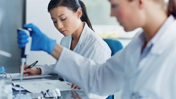 Canadá avalia incluir três novas categorias no Express Entry