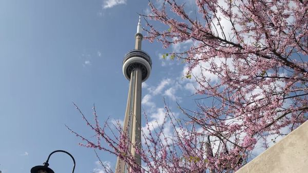 Primavera deve ter temperaturas acima da média em Ontário