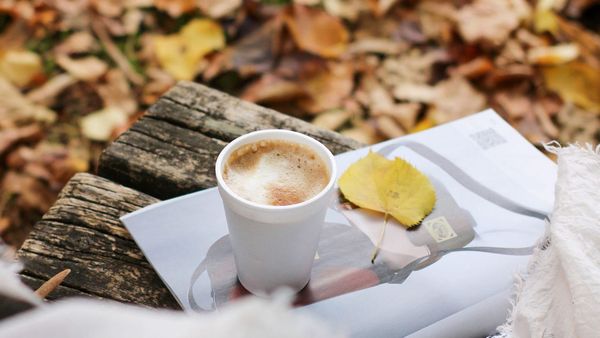 Quatro cafeterias apostam em bebidas de outono com pera, abóbora e maçã