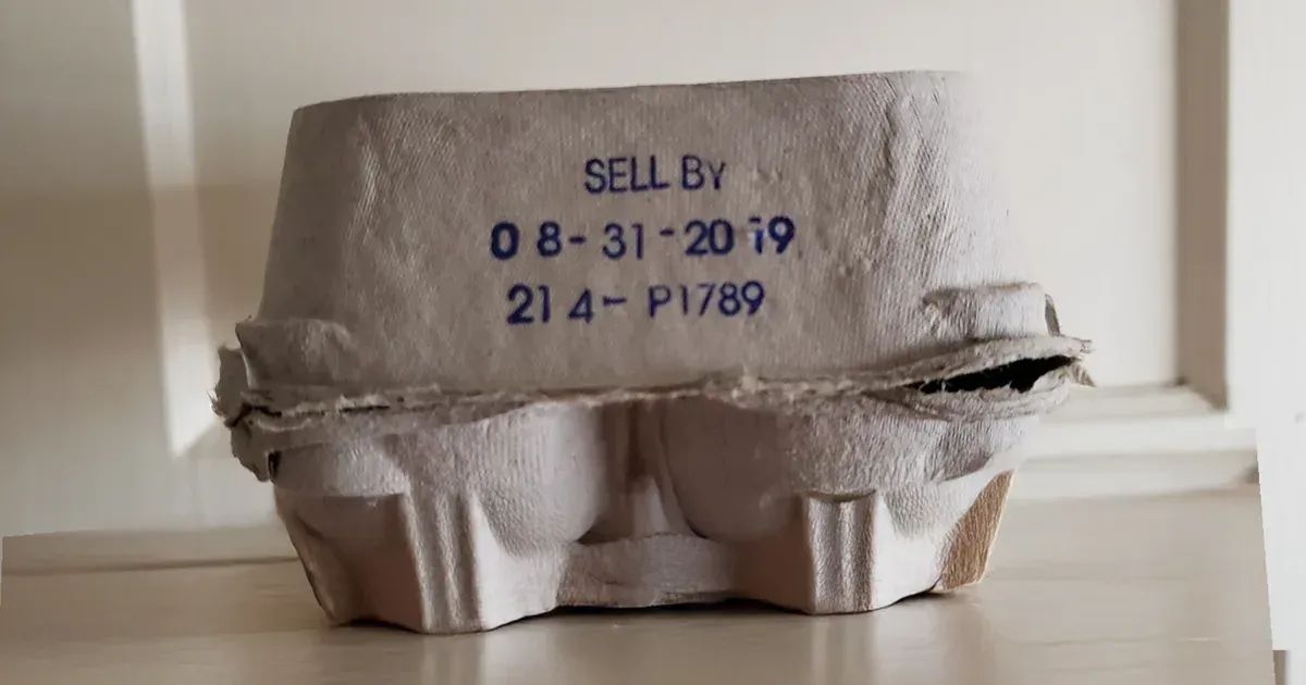 Jak rozszyfrować kody na opakowaniach na jajka?