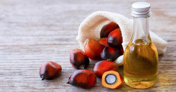 Eksport oleju palmowego wkrótce zostanie zakazany