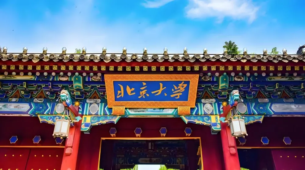 为什么中国大学越来越有钱，教授们反而越来越焦虑？