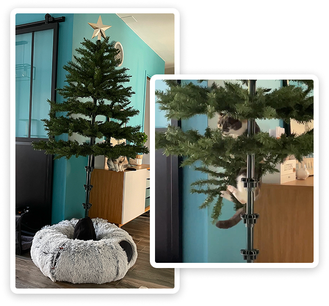 Picture one : A plastic Christmas tree without any decorations. Picture two : A cat hanging in the Christmas tree.