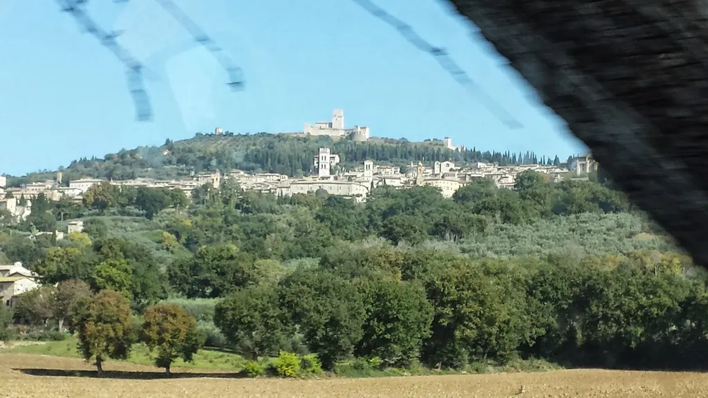 St. Francis - Ahead of His Time, and Still Here!