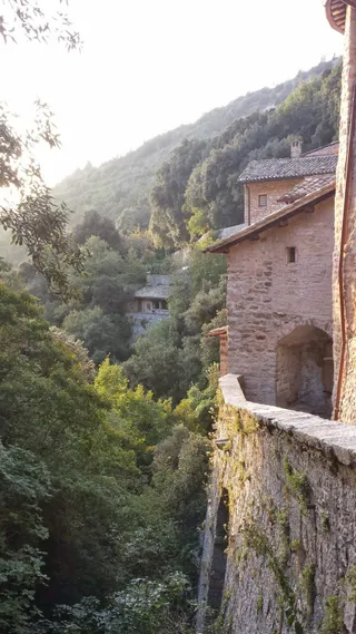 St. Francis Walks On Ahead....