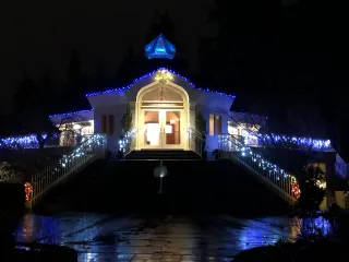 Looking for a Friend