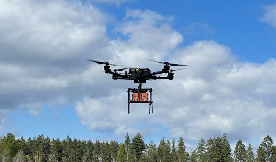 Des drones pour une détection ultra-précoce des scolytes