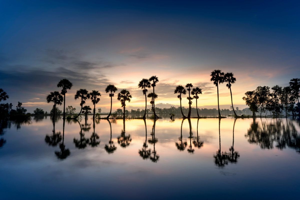 How to Establish Florida Residency as a Digital Nomad