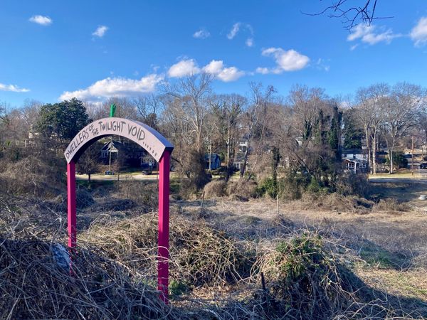 we got a wild connection