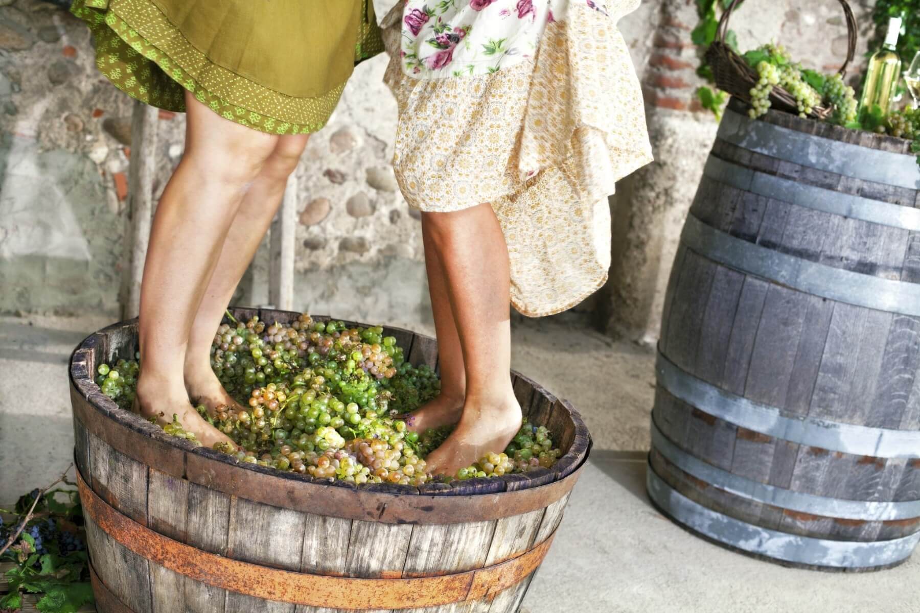 Grape stomping