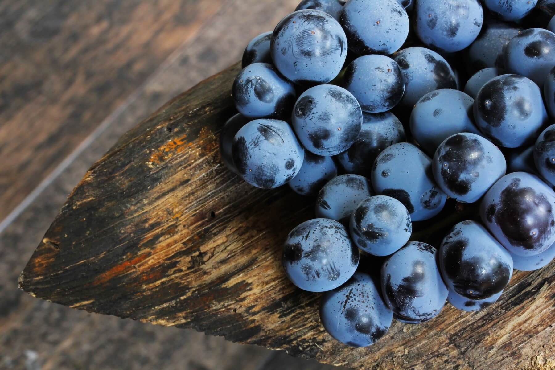 Nine Less Obvious Grape Varieties Everyone Should Try At Least Once