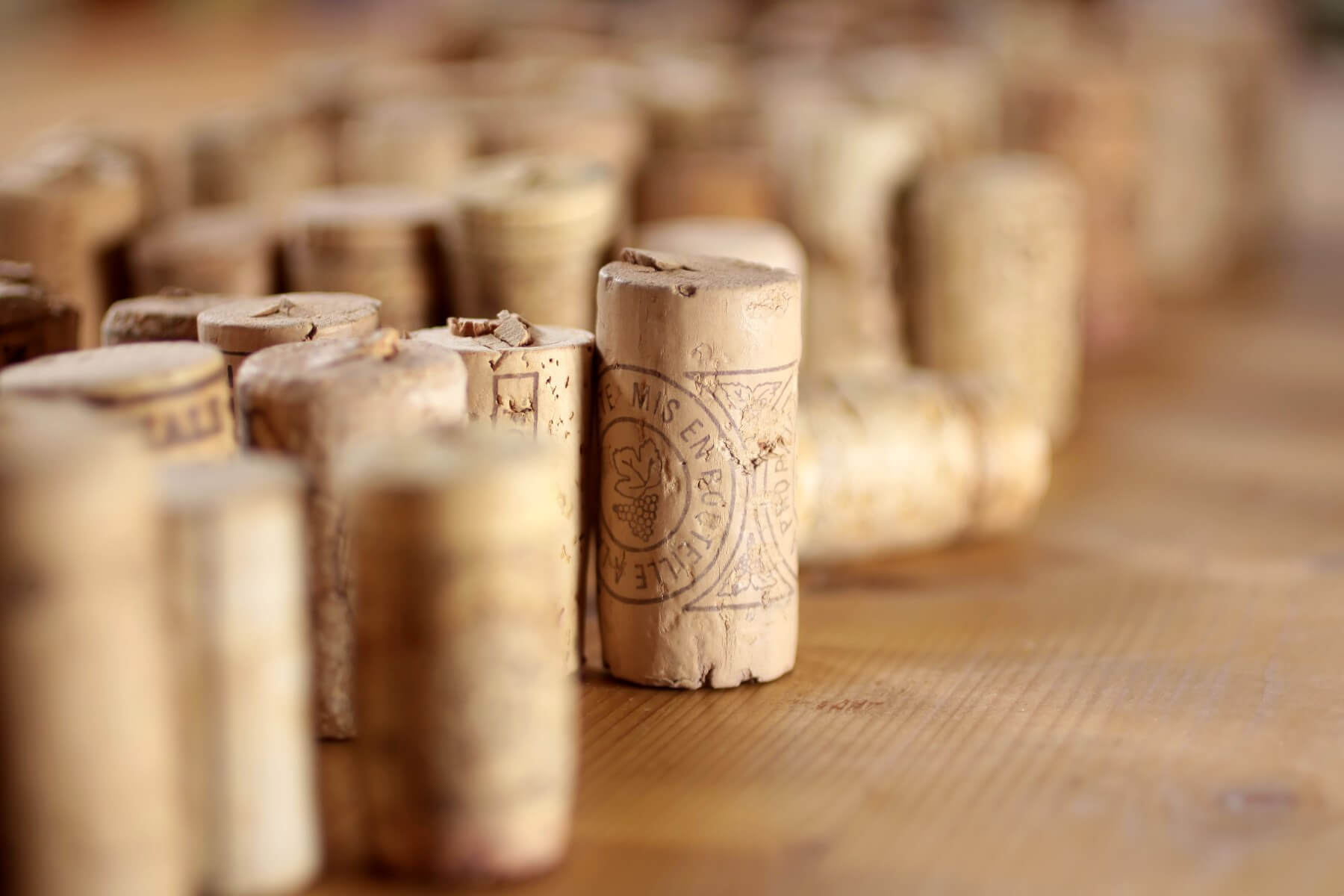 Five Wineries to Visit in Yarra Valley