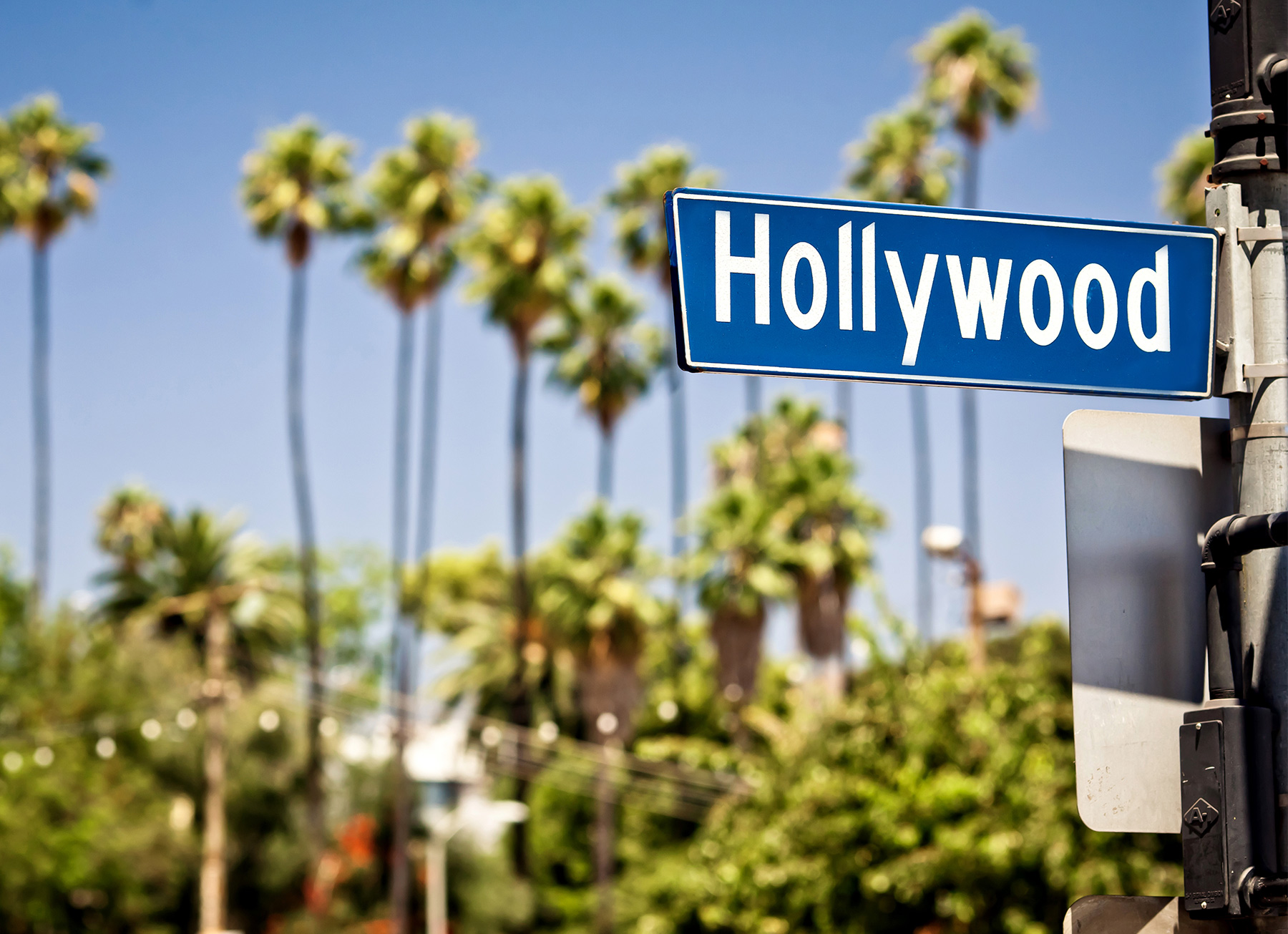 5 Celebrities Making It Big In The Wine World