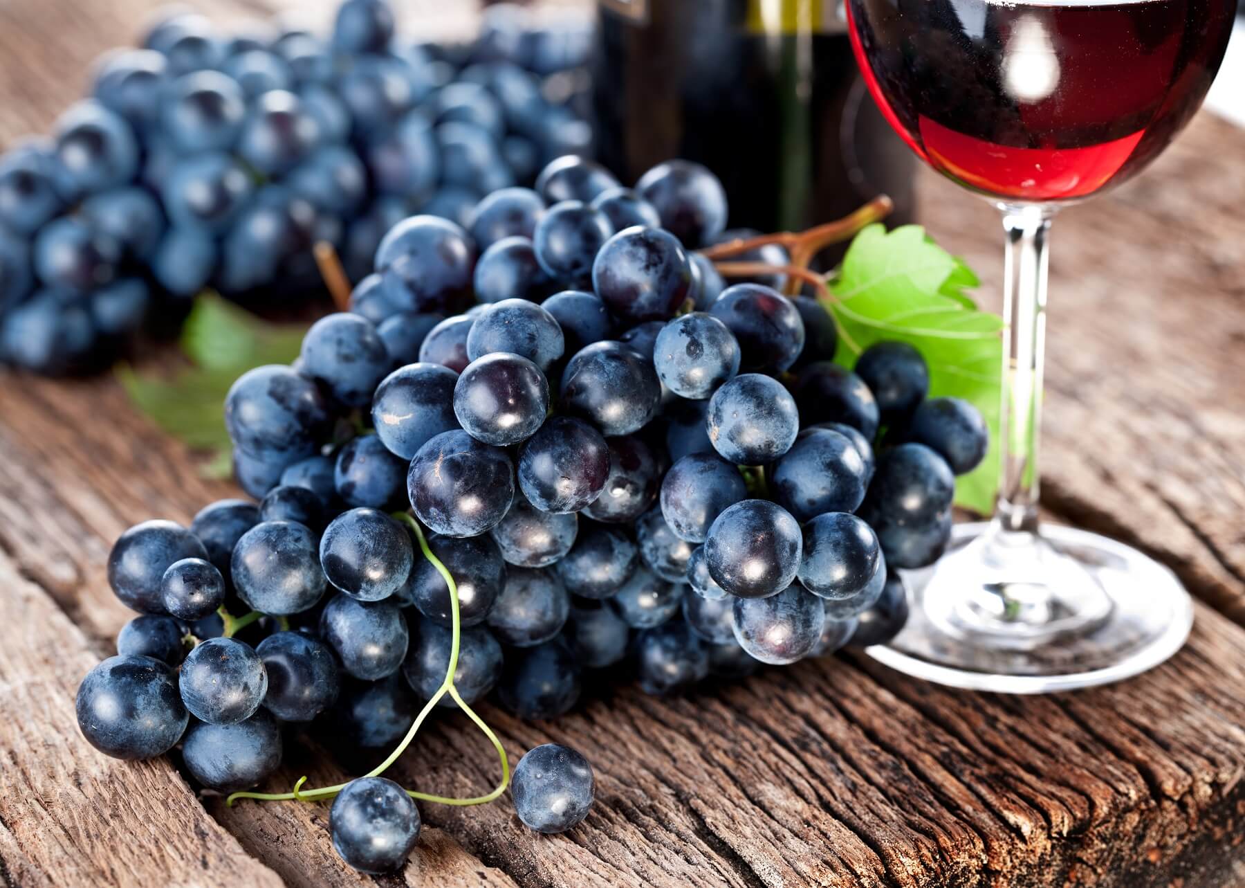 Depositphotos_11956596_original--1-