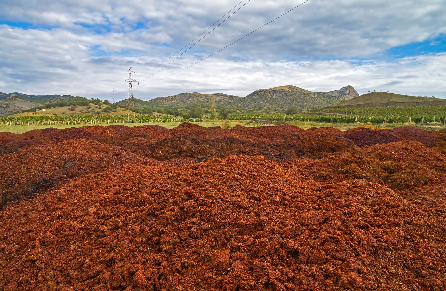 Depositphotos_36507759_original--1-