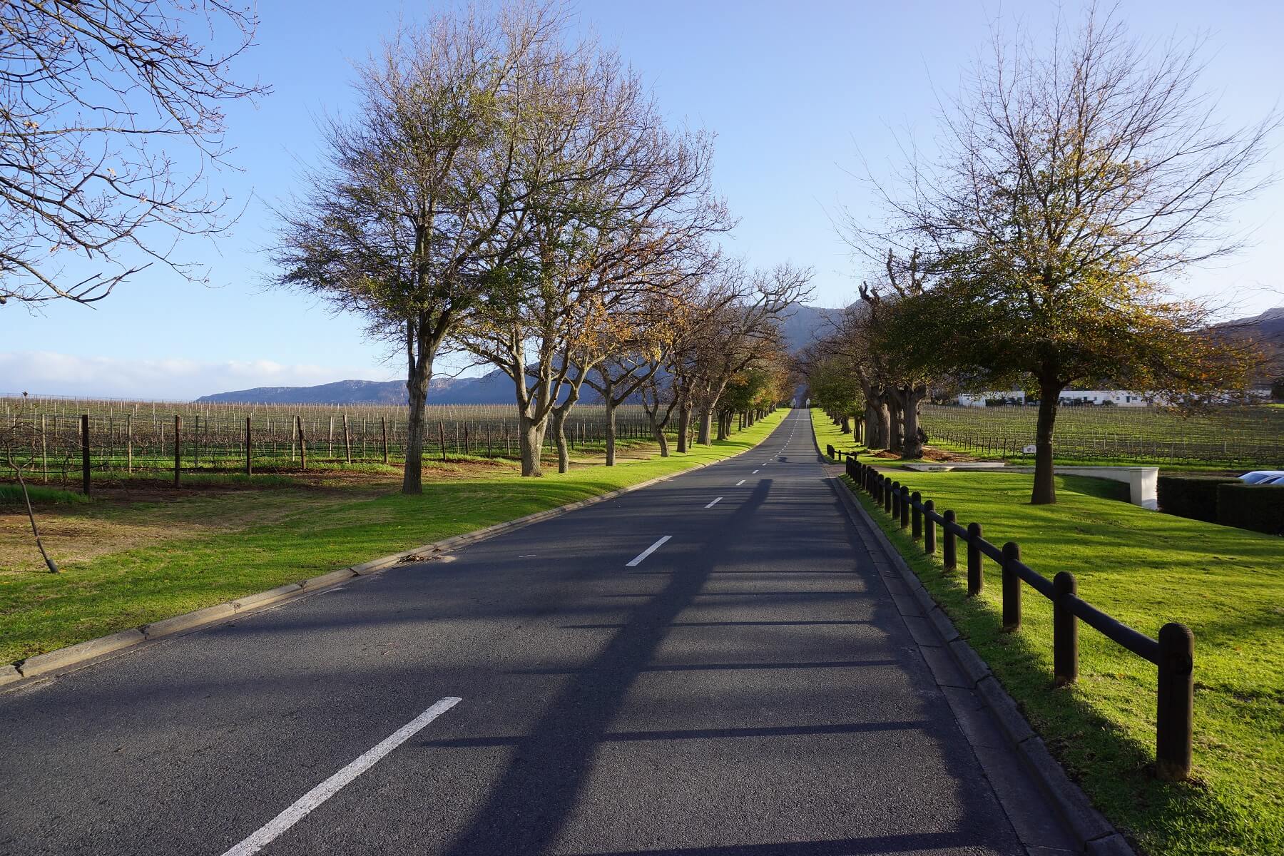 Depositphotos_119392418_xl-2015--1-