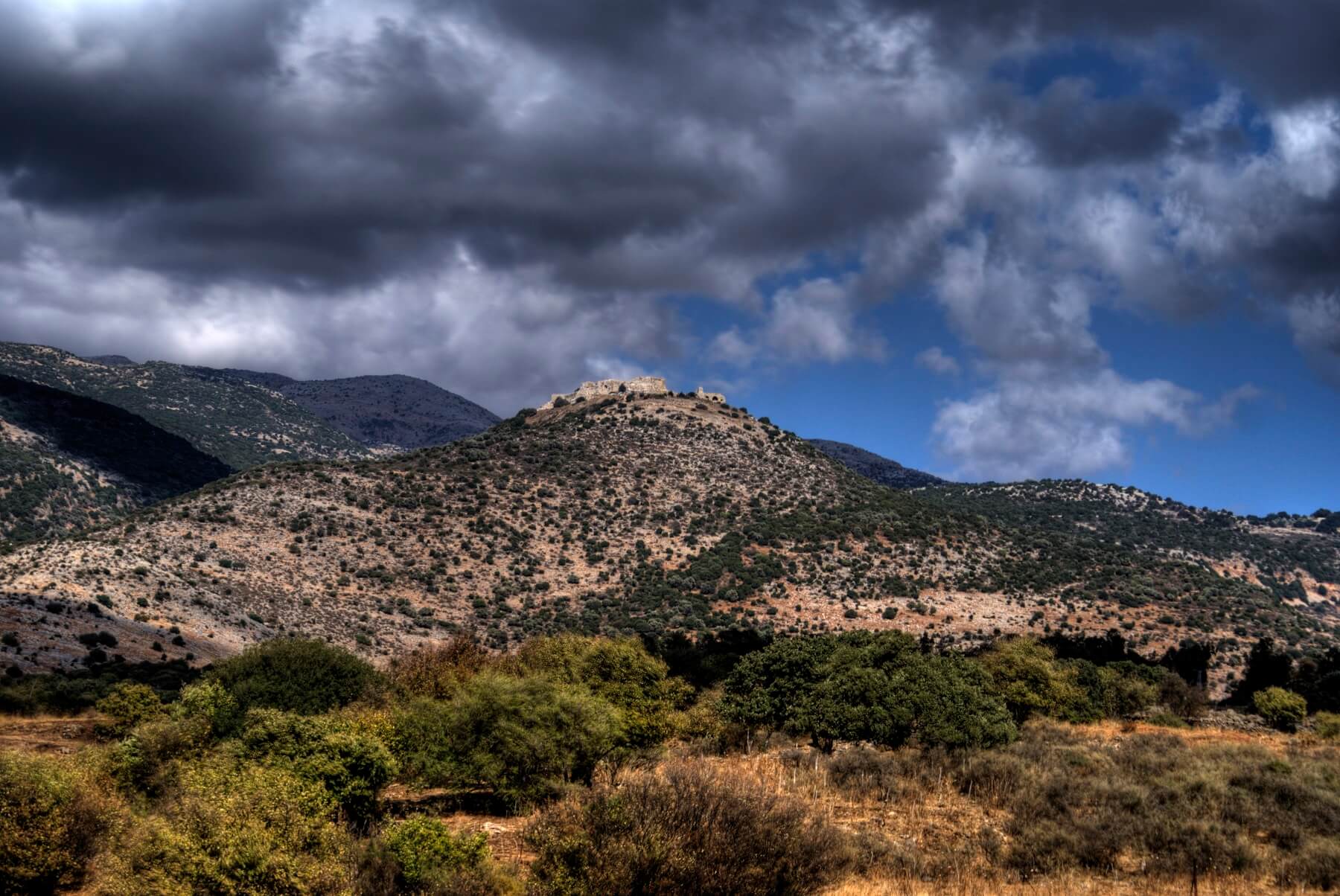 Depositphotos_1269243_xl-2015--1-