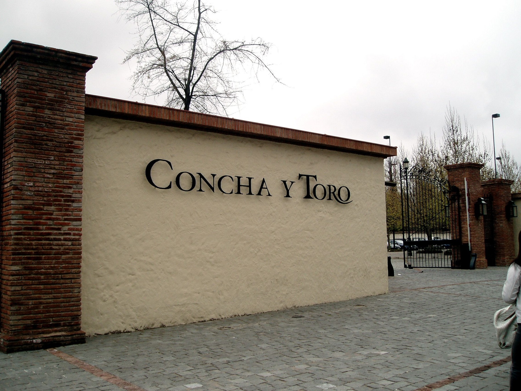vina-concho