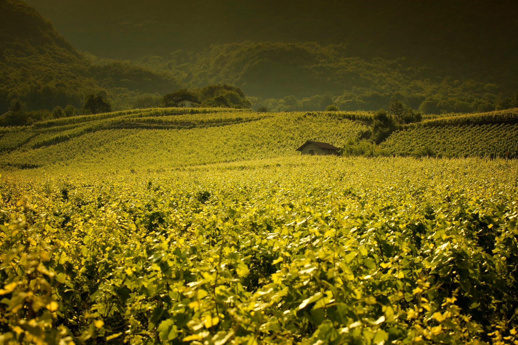Chateau Moulin de Marquet