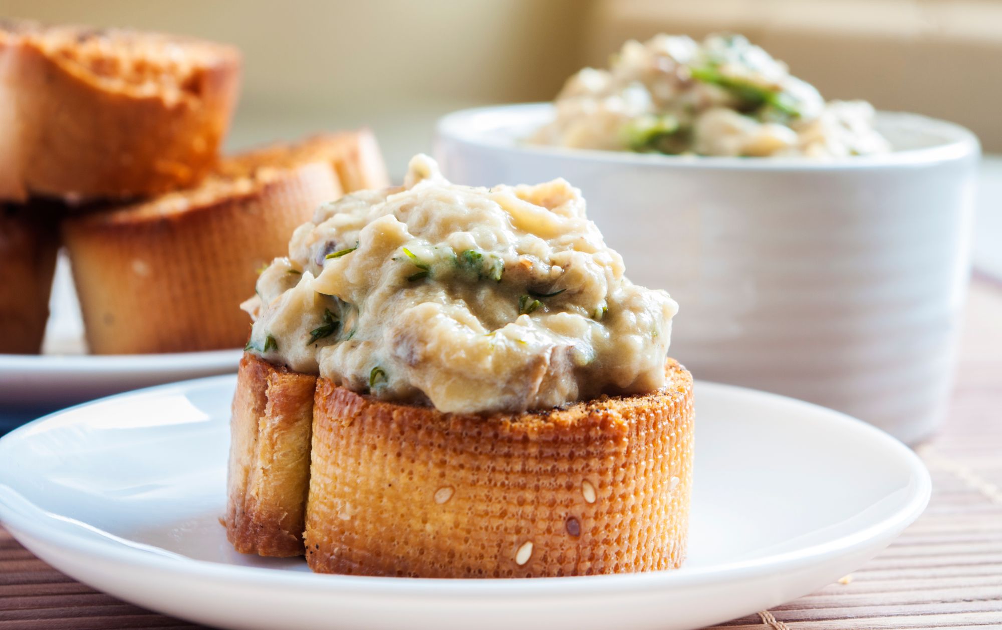 Eggplant and Coriander Dip