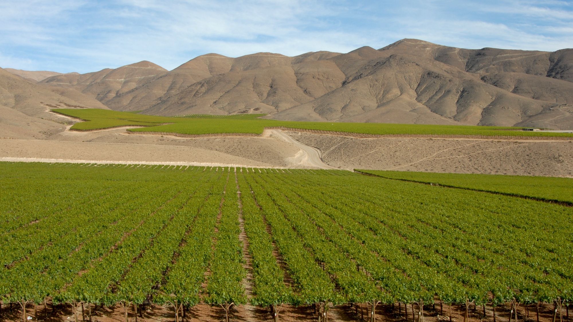 MaxPixel.net-Landscape-Wine-Andes-Chile-970444