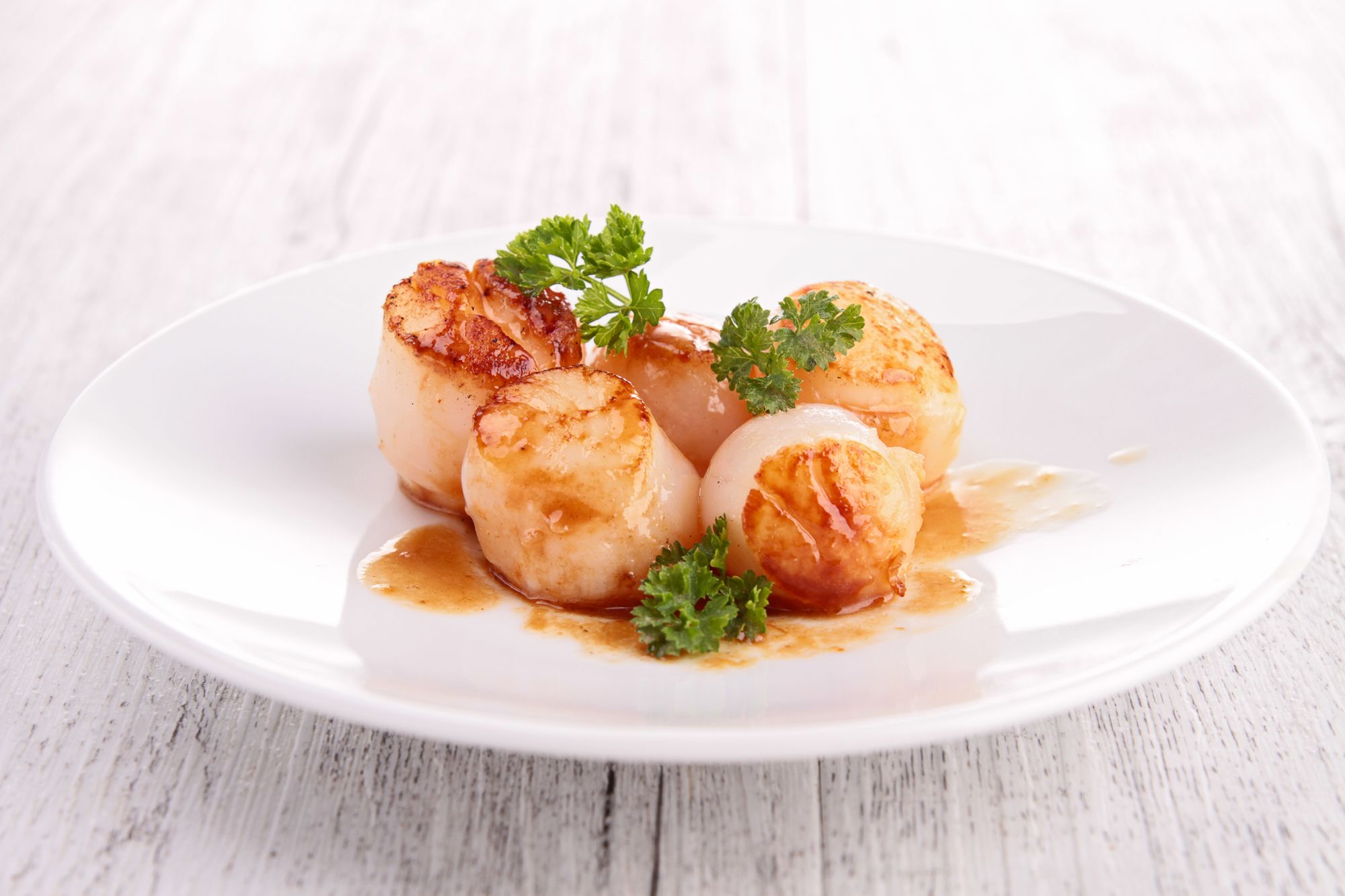 Scallops in Mushroom Sauce