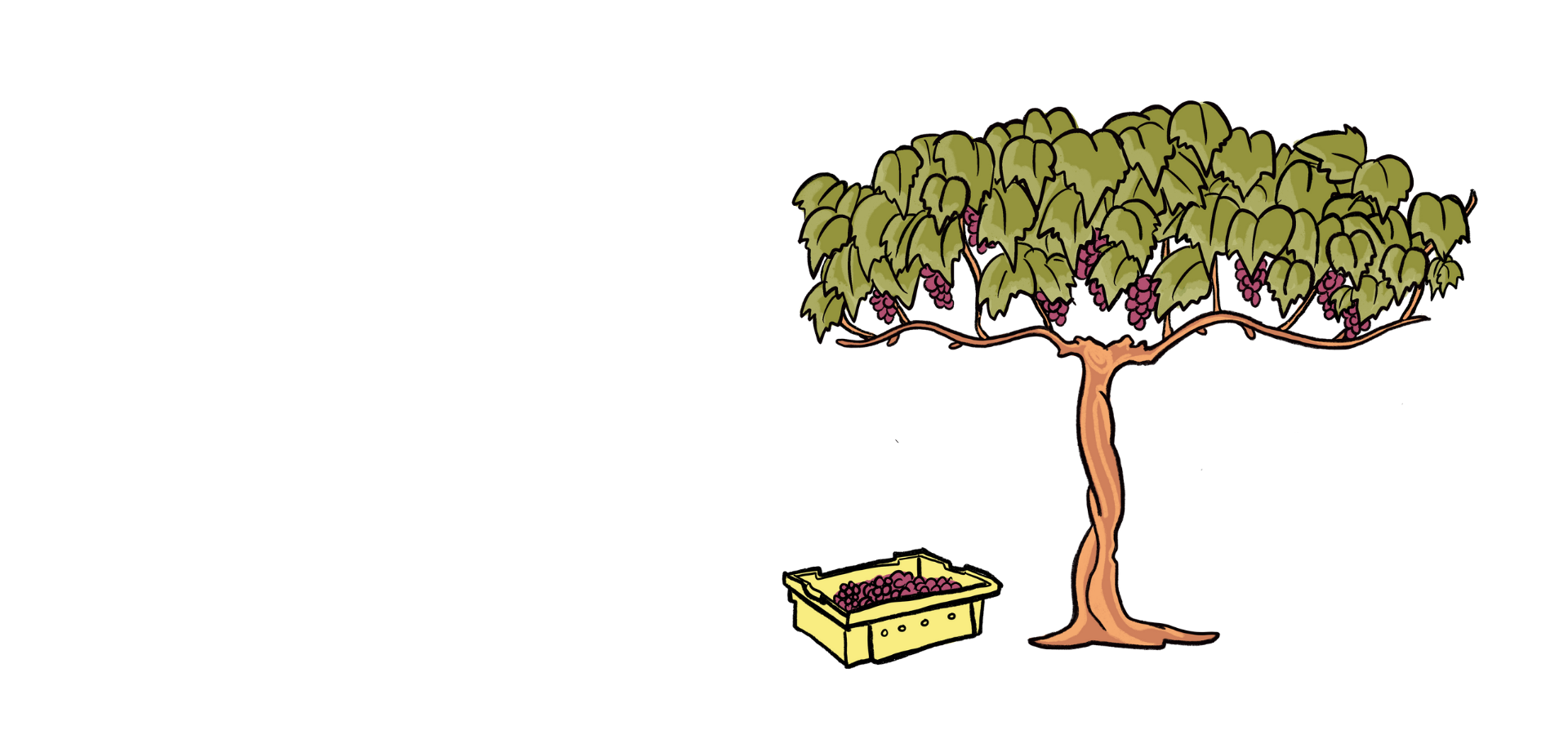 Chapter 3 - The Grape Growing Environment 🍇☀️