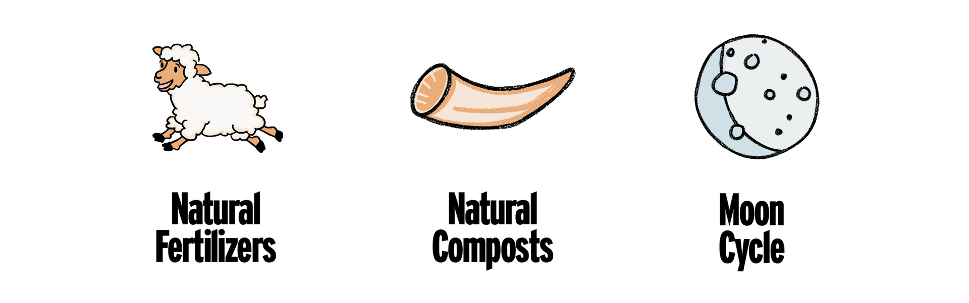 Chapter 7 - Natural, Vegan, Organic & Biodynamic Wine 🌱🌝